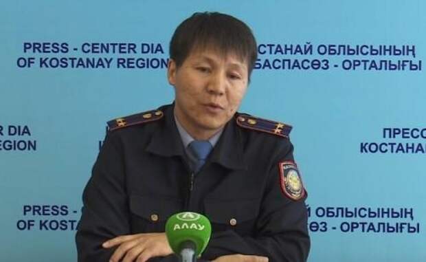 Костанайцы высказались о запрете на выгул собак