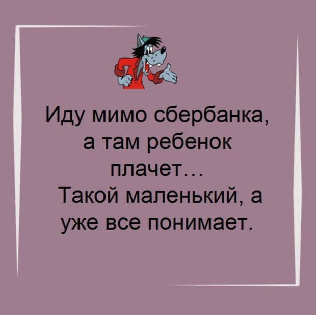 Тридцать отличных жизненных шуток, в которых многие узнают себя