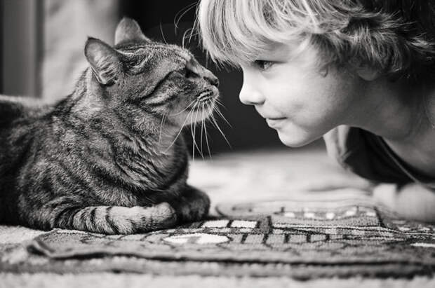 Черно-белый снимок малыша и котика.