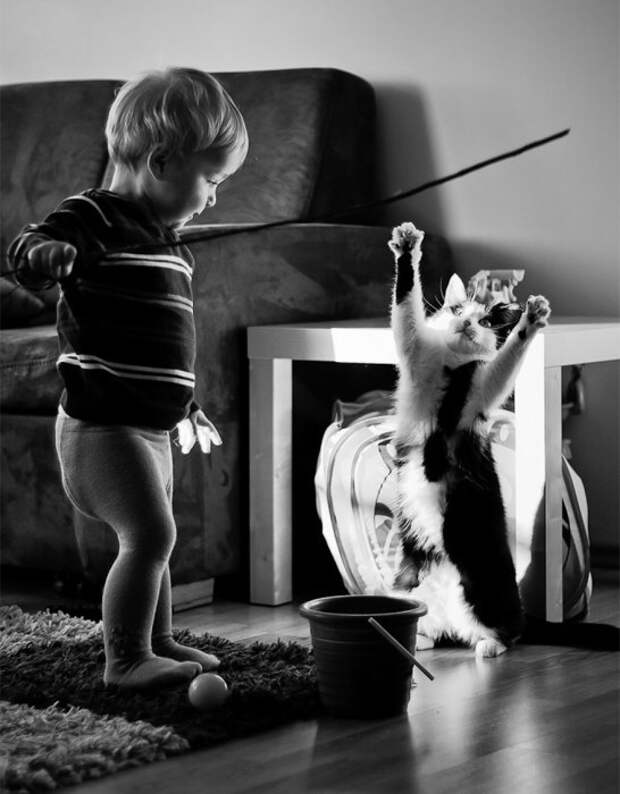 Веселые игры маленького мальчика и танцующего котика.