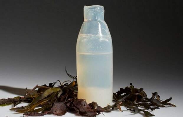 Технологии будущего: биоразлагаемые бутылки воды из водорослей.
