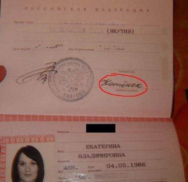 Прикольные подписи в документах подписи, приколы.
