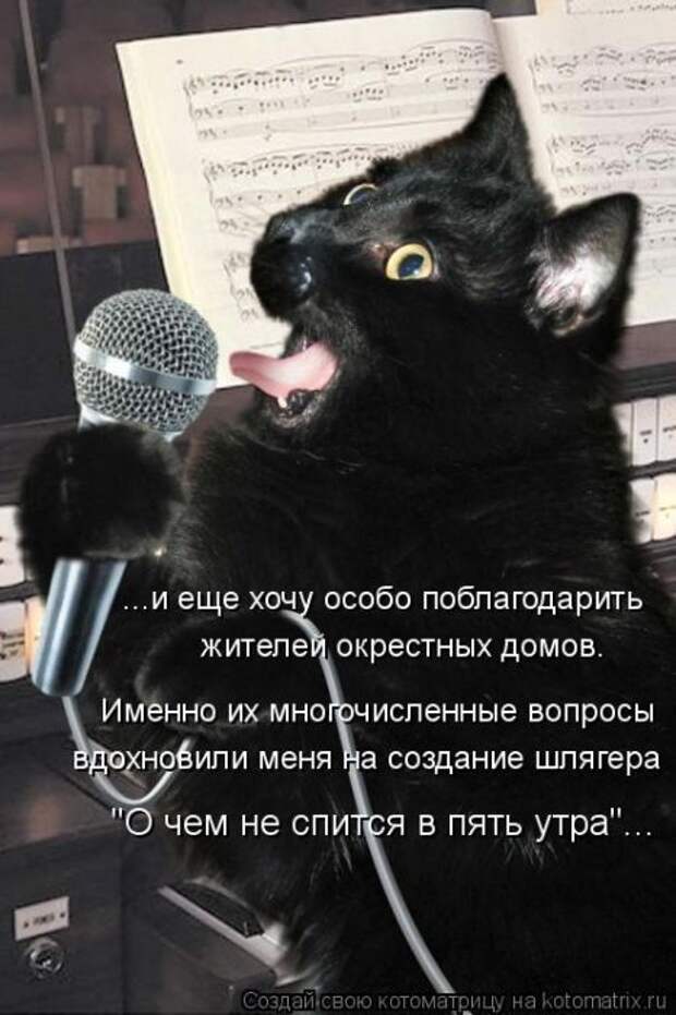 Котоматрицы(картинки с надписями)