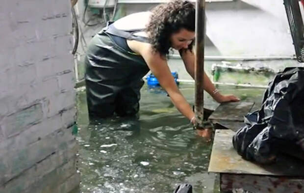 Жительница Кузбасса разводит в затопленном подвале карпов