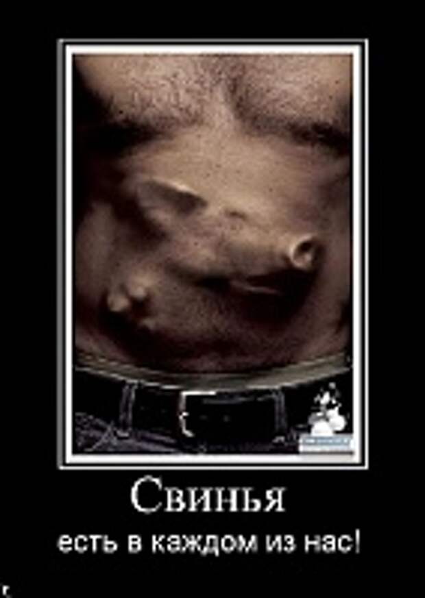 Демотиваторы фото 101