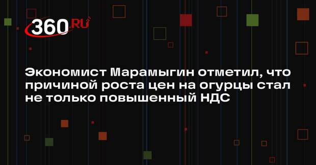 Экономист Марамыгин отметил, что причиной роста цен на огурцы стал не только повышенный НДС