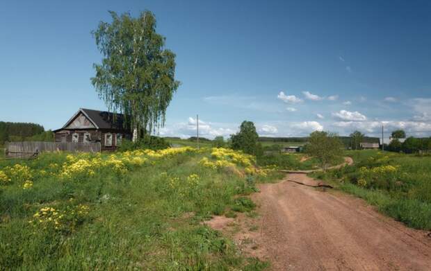 Деревенскими дорогами ... Дорога, Деревня, Природа, Трава, Лето, Фотография, Длиннопост