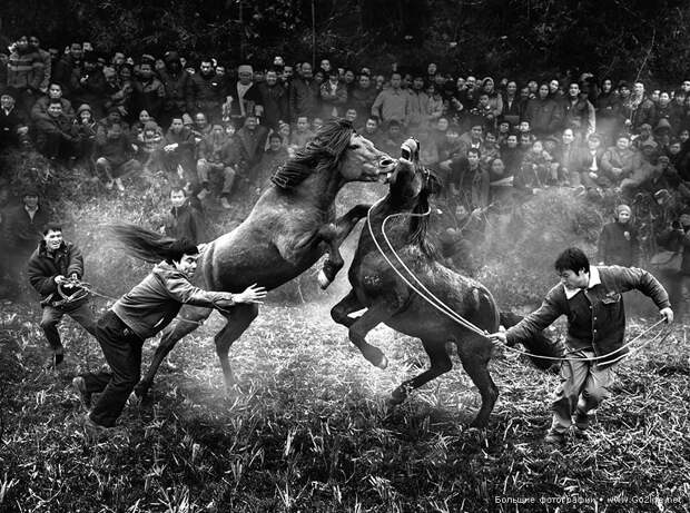 Sony World Photography Awards 2014