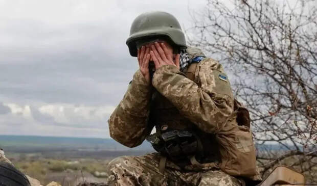 Вместо противника ведут огонь по белкам: комбриг ВСУ посетовал на проблемы с пожилыми военнослужащими