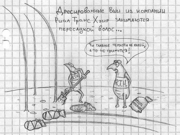Картинки с надписями и прочие анекдоты, которые не оставят вас равнодушным Картинки с надписями и прочие анекдоты, которые не оставят вас равнодушным