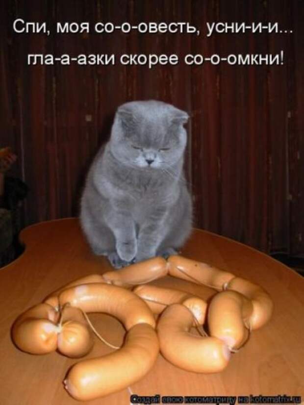 Смешная котоматрица