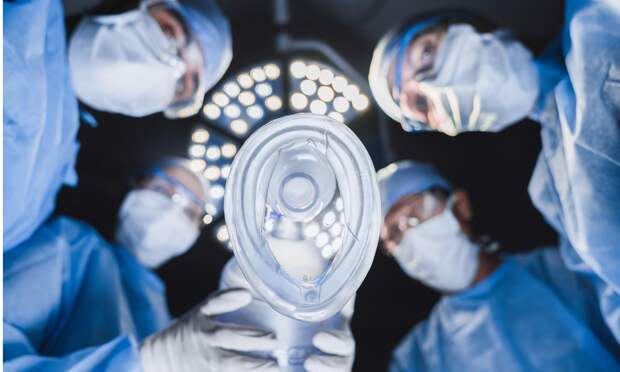 Житель Подмосковья лишился части печени из-за живых и мертвых личинок ленточных червей