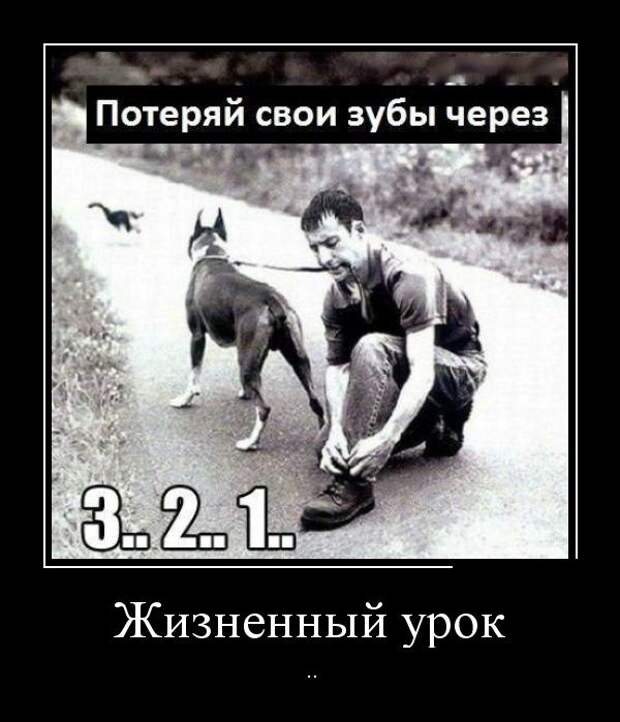 Демотиваторы (30 фото)
