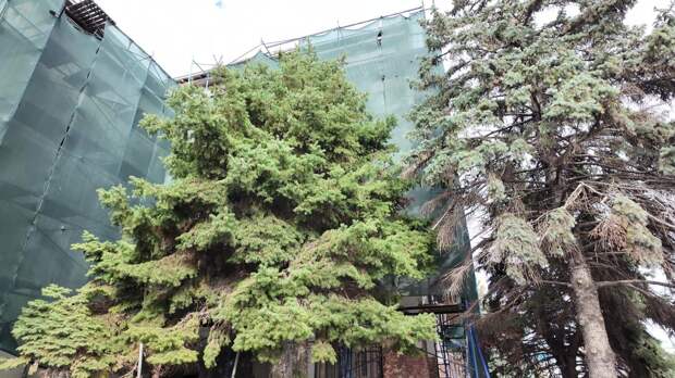 Четвёртый подрядчик за шесть лет: кто теперь будет достраивать театр в Керчи, закрытый ещё в 2008-м