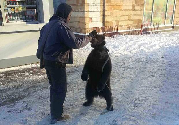Mucky куб: Роберт Бирюков вместе со своим питомцем медвежонком, который сделал свой бизнес на московской улице бешенство владельца соседнего газетный киоск