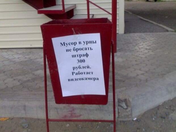 ТОП самых забавных объявлений: читаем и улыбаемся!