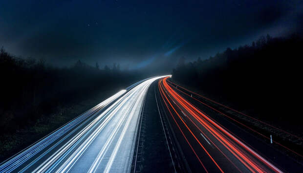 Mash: В Новосибирске волонтеры спасли редкую бородатую неясыть