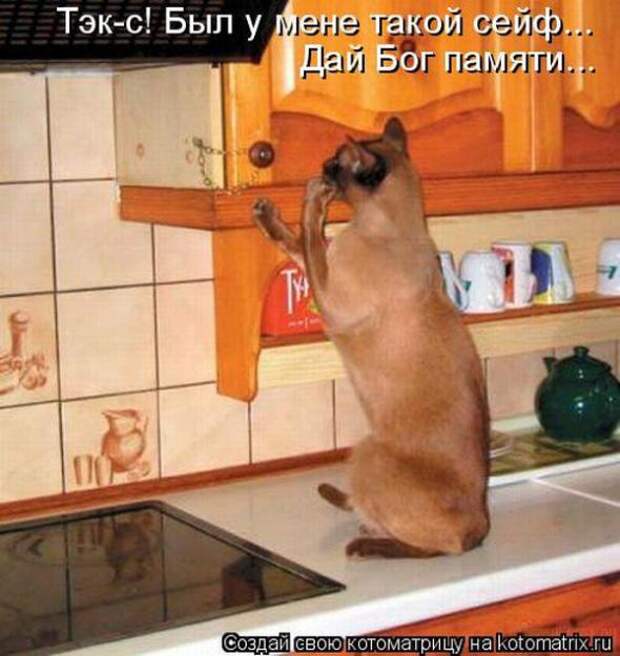 Котоматрицы (картинки с надписями)