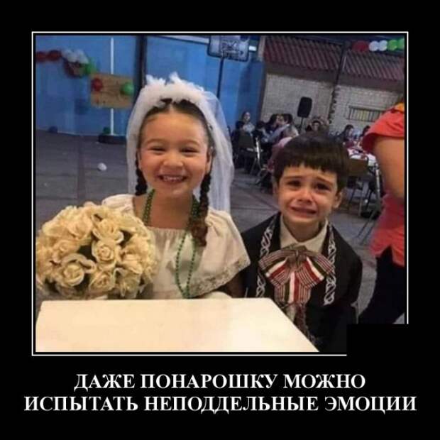 Демотиваторы (20 фото)