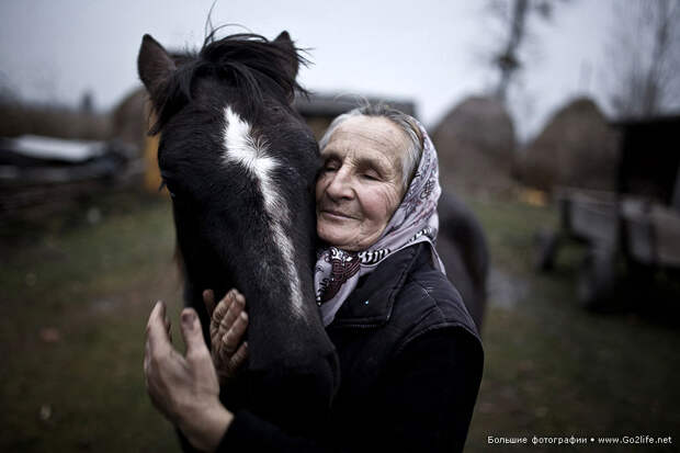 Sony World Photography Awards 2014