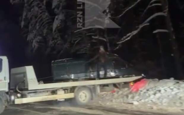 ГАЗель вылетела в кювет в Клепиковском районе