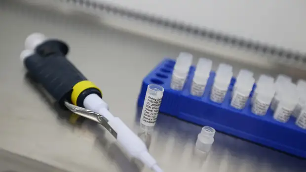 В России за сутки выявили 15 150 случаев коронавируса