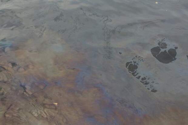 Суд обязал котельную возместить ущерб 1,7 млн после загрязнения ручья в Колпино