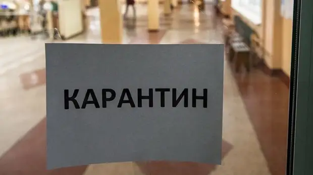 На территории села в Пермском крае ввели карантин по бешенству