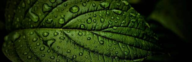 Какая погода ожидается в первые дни лета в Казахстане