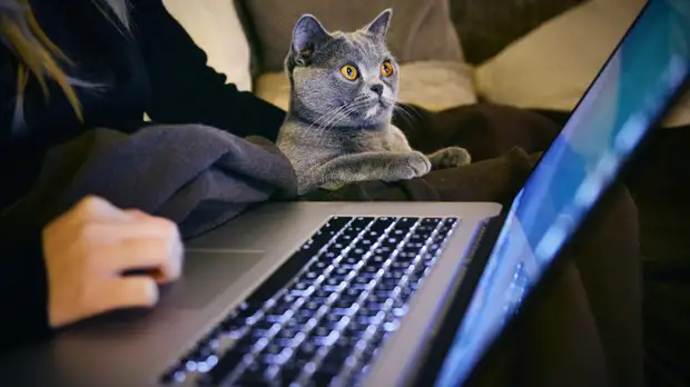 Аналитики рассказали, какие специалисты будут востребованы во фрилансе в 2022 году