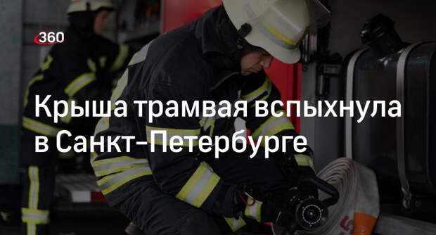 Трамвай загорелся на Дальневосточном проспекте в Санкт-Петербурге