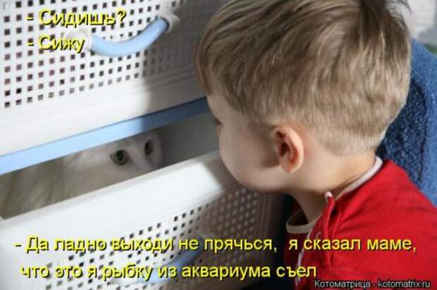 Котоматрицы (картинки с надписями)