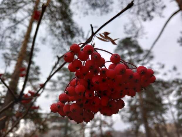 Прогноз погоды на неделю публикует ZAB.RU
