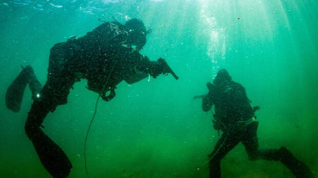 Россия направит на защиту Арктики боевых пловцов для борьбы с диверсантами