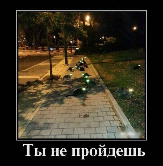 Демотиваторы (30 фото)
