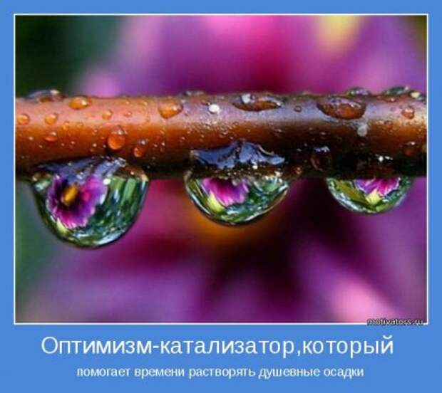 Мотиваторы. Побеждай и будешь лучшим!