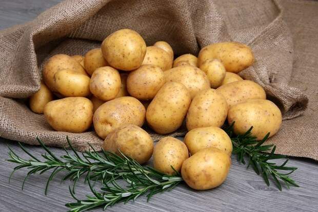 Картофель Картофель