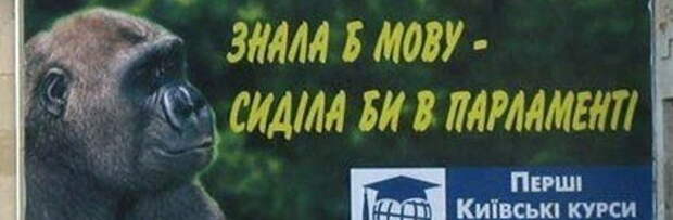Карасев признал, что украинский язык никому не нужен