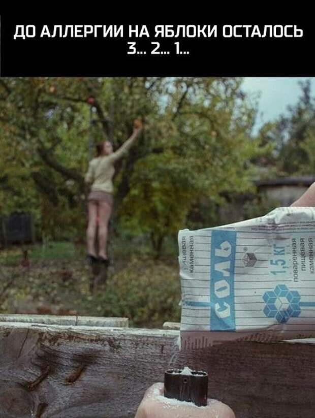 Подборка прикольных до слез картинок и мемов