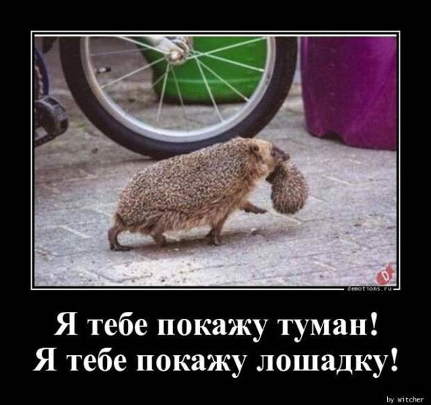 1589352353_demy-22.jpg