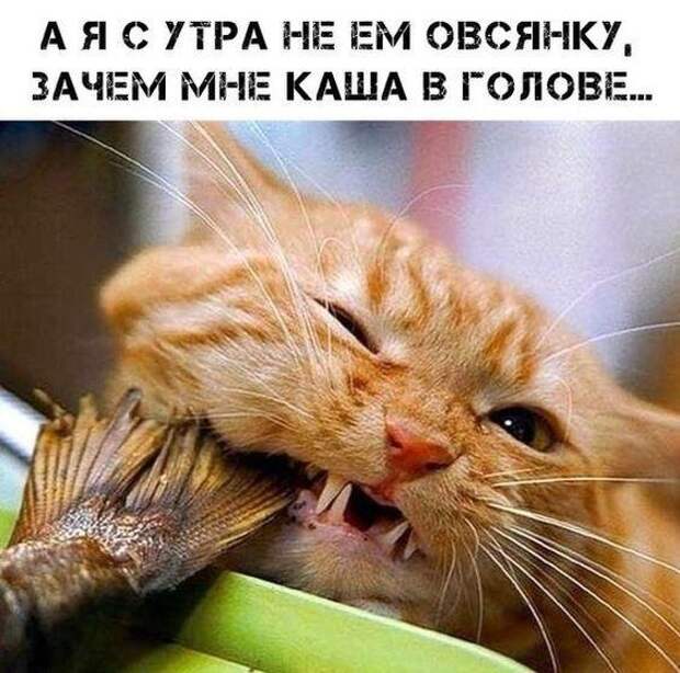 Улетные картинки с надписями (вторник)