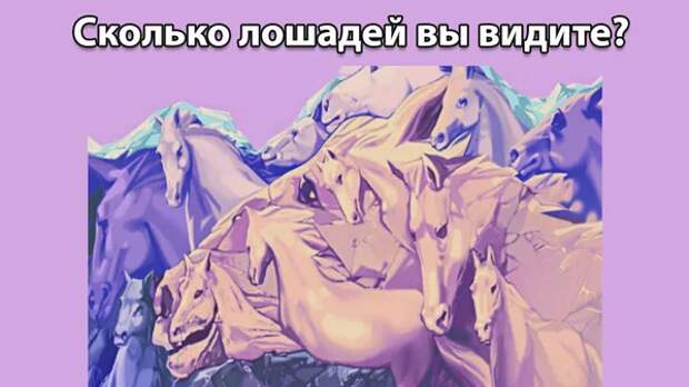 СКОЛЬКО ЛОШАДЕЙ ТЫ ВИДИШЬ?