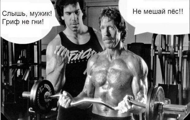 Прикольные картинки