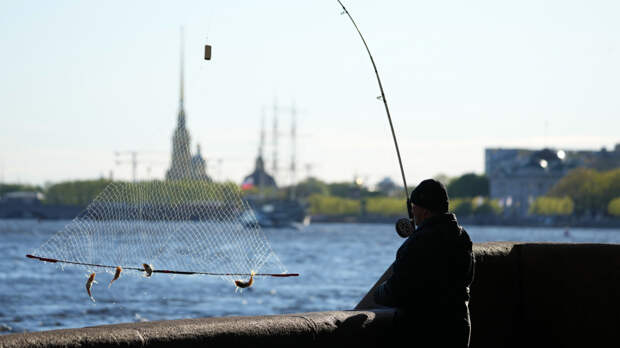 В центре Санкт-Петербурга рыбаки массово выходят на ловлю корюшки