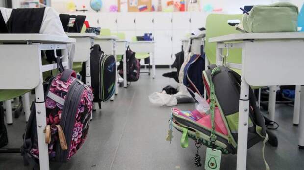 Безопасность в школах: полиция вместо вахтеров?