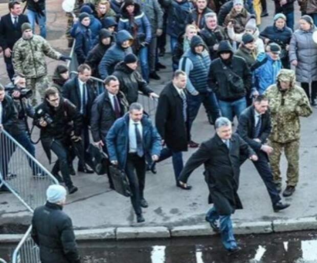 «Гарант ходит по воде»: украинские националисты в Житомире заставили Порошенко бегать от них по лужам