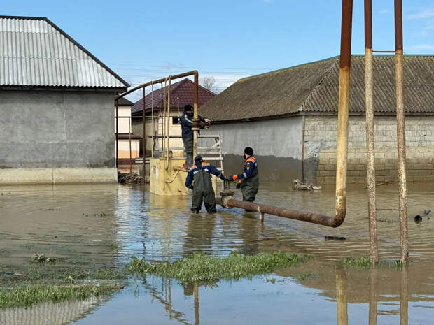 Авито: петербуржцы разместили более 1200 объявлений для помощи Дагестану