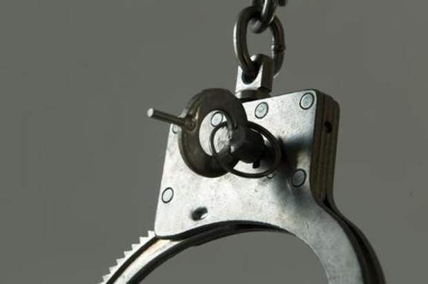 ТАСС: создатель Telegram-канала «Протестный МГУ» приговорён 8,5 годам колонии по делу о фейках в отношении российской армии