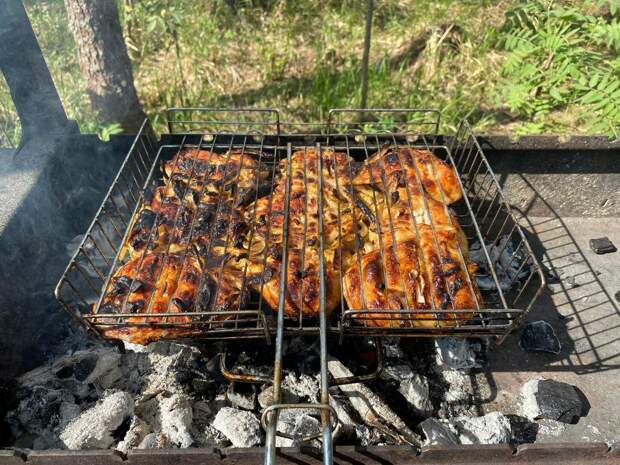 Гастроэнтеролог Миронова назвала безопасную норму шашлыка