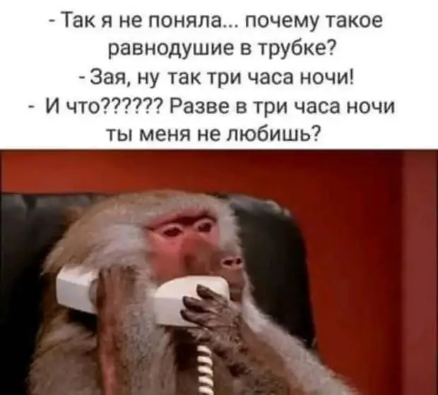 - Чай, кофе, вино, пиво, водка, минералка? - Вы сейчас прямо мои последние сутки пересказали очень, каким, просто, работу, детина, маленький, домой, шампунь, выбирают, женщины, параметрам, телефонные, звонки, услышите, стука, коротких, открывайте, дверьХозяин, обращается, официантам